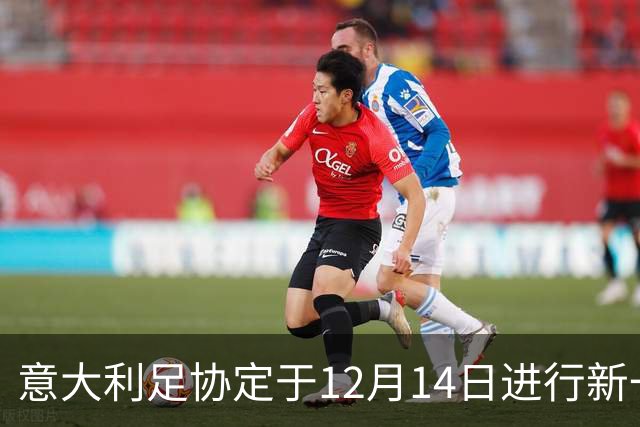 意大利足协定于12月14日进行新一届主席及理事会选举
